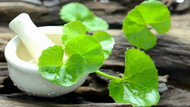 Brahmi Brahmi