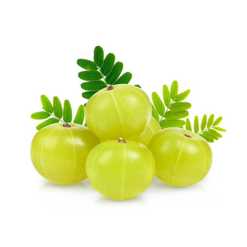 amla amla
