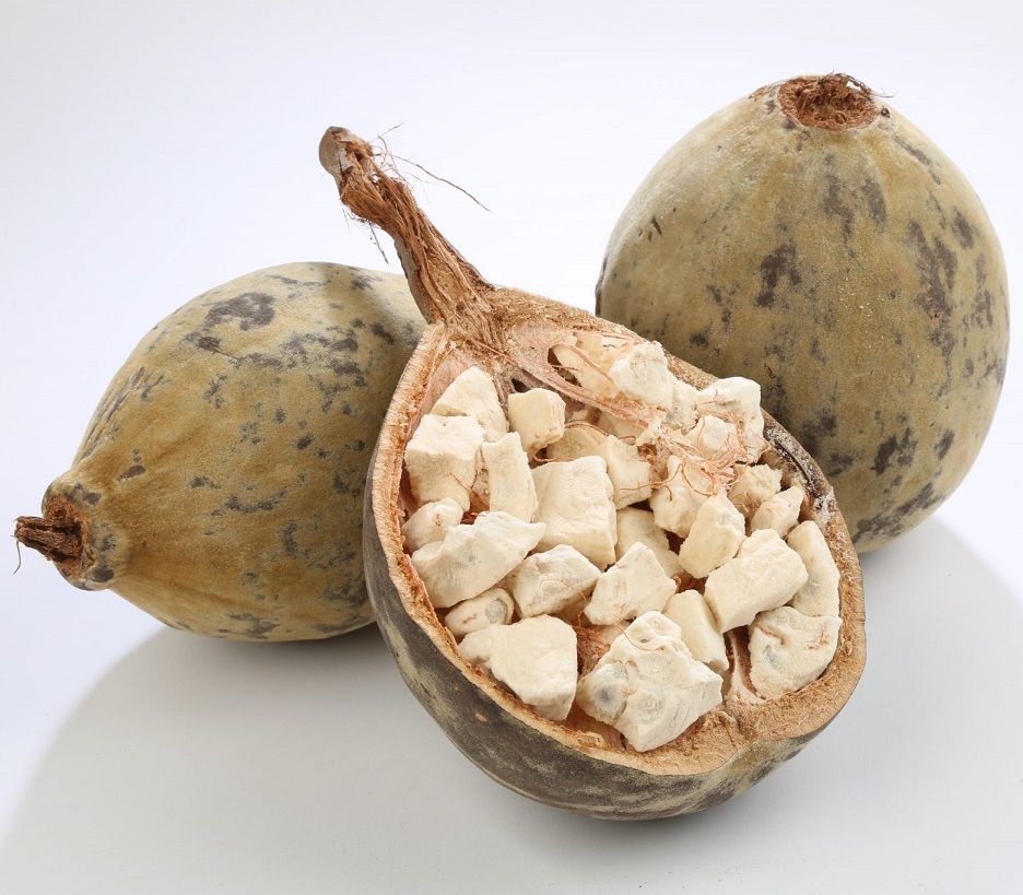 baobab baobab