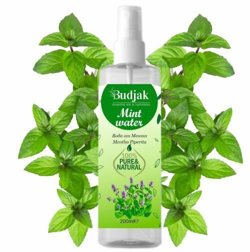 Biologische Bloemenwater van Munt - Mentha piperita - frisse voeten - baden - verlicht jeuk - vermindert roos 200 ml.