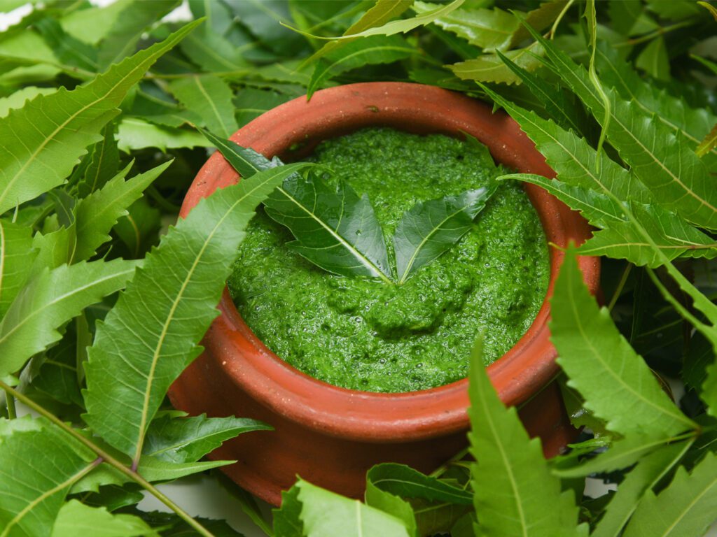 Neem Neem