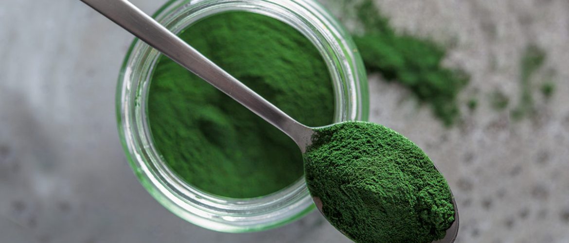 Spirulina Spirulina