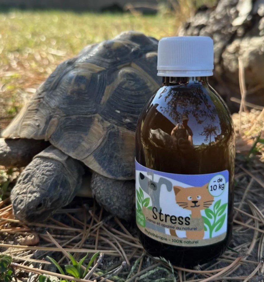 KasTete Franse Natuurlijke anti-stres siroop - honden en katten minder dan - 10 kg - Passiebloem - meidoorn 200ml