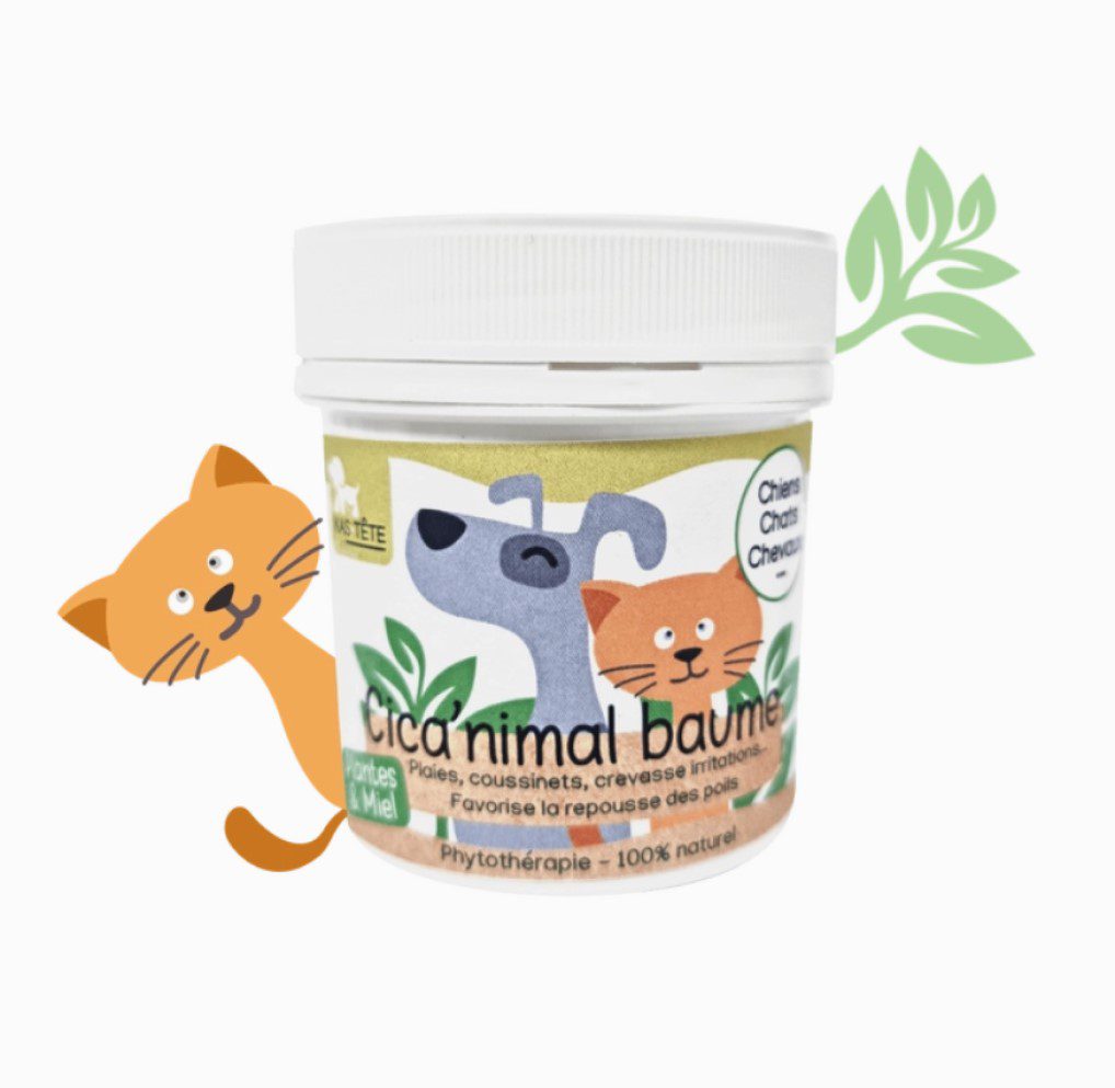 KasTete Franse Natuurlijke genezende balsem voor honden en katten - pijnlijke spieren - 80ml
