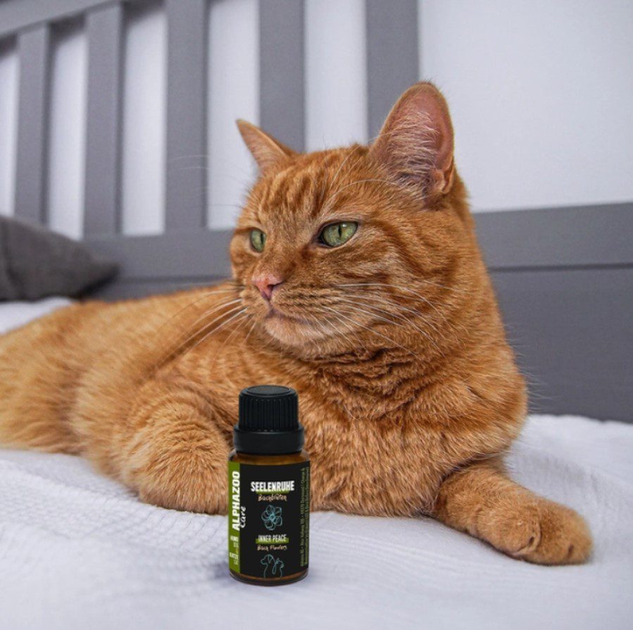 Natuurlijke Relax - Kalm - Rust - Globules Pastilles Bachremedies voor honden en katten 15gr