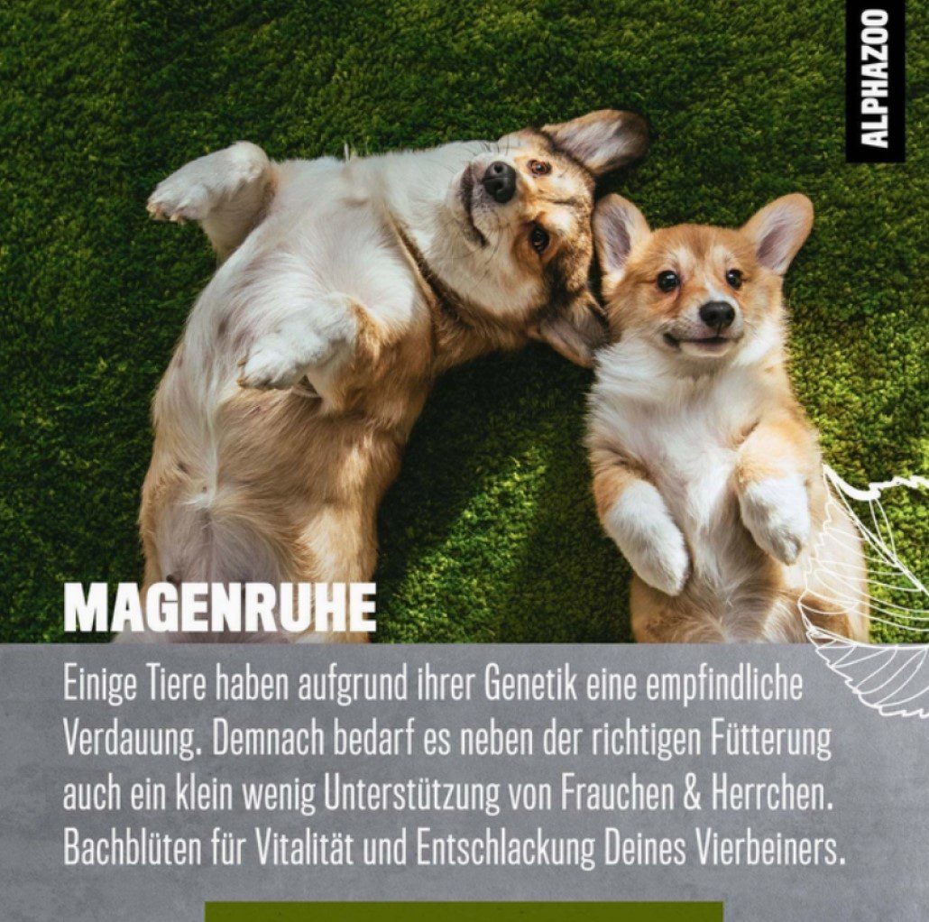 Natuurlijke Globules Pastilles Bachremedies - Gastro-intestinale - mag - darm werking bij honden en katten 15gr