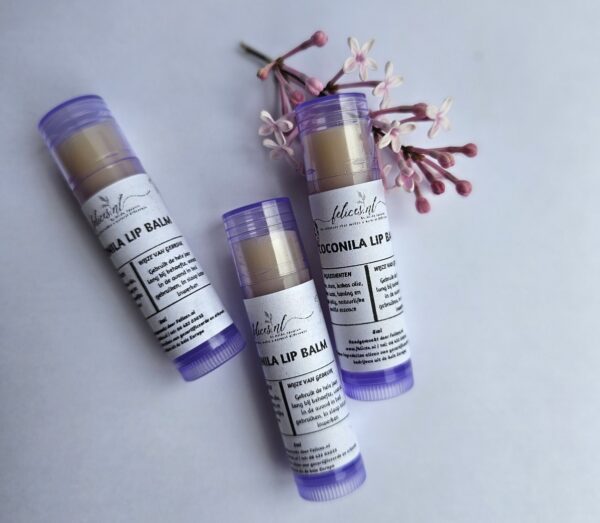 Handgemaakt Coconila lip balsem stift - cacao boter - karite - kokos - honing - vanille 8gr - Afbeelding 2