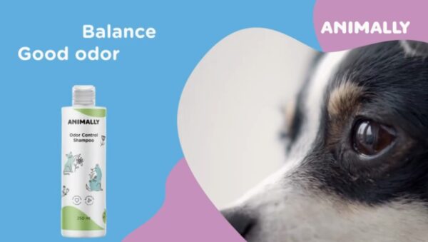 Animally Biologische Geur controle shampoo voor honden en katten - rozemarijn - brandnetel 250ml - Afbeelding 4