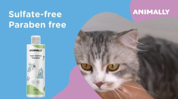 Animally Biologische Geur controle shampoo voor honden en katten - rozemarijn - brandnetel 250ml - Afbeelding 5