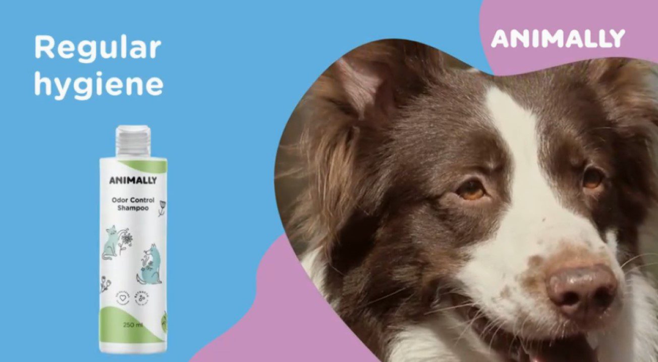 Animally Biologische Geur controle shampoo voor honden en katten - rozemarijn - brandnetel 250ml