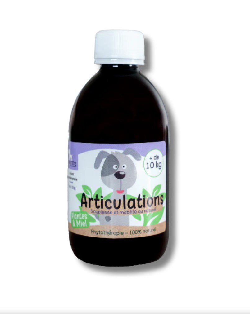 KasTete Franse Natuurlijke gewrichten siroop voor honden meer dan + 10 kg - Heermoes en bamboe 300ml