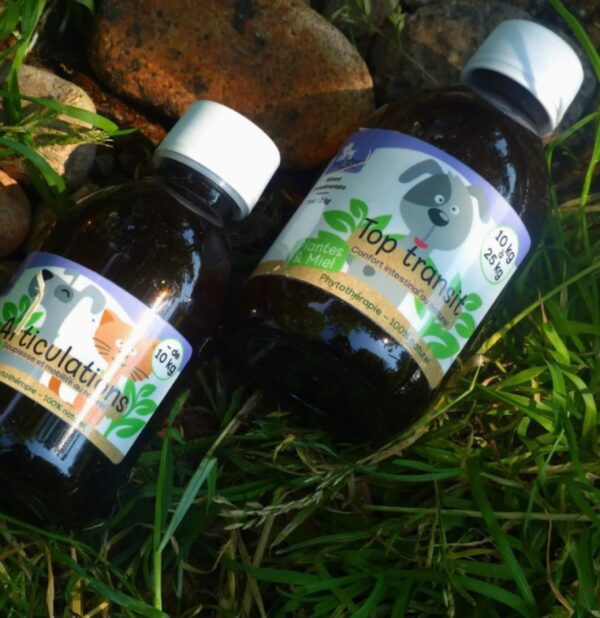KasTete Franse Natuurlijke gewrichten siroop voor honden meer dan + 10 kg - Heermoes en bamboe 300ml - Afbeelding 2