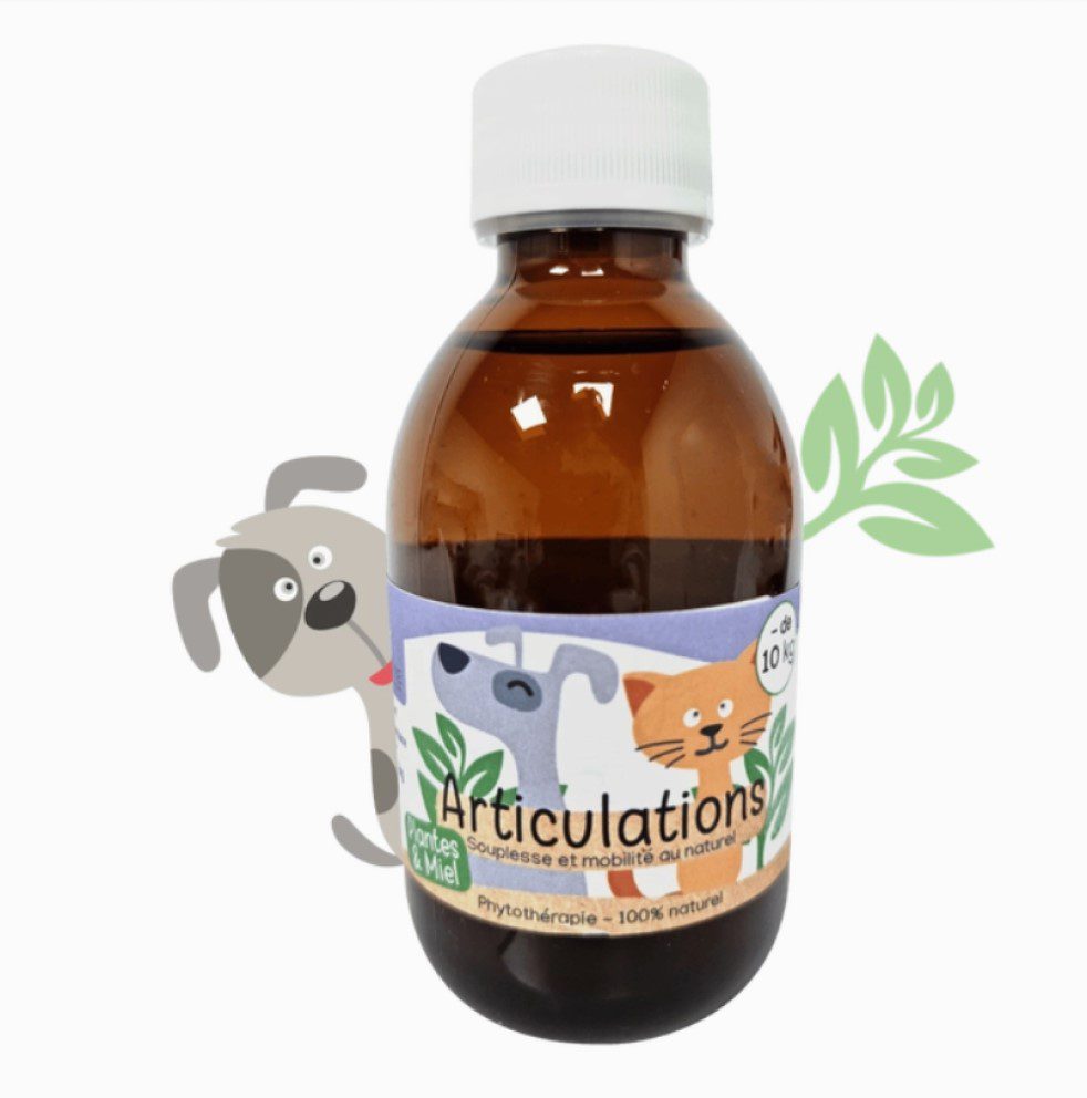 KasTete Franse Natuurlijke gewrichten siroop voor honden en katten minder dan - 10 kg - acacia honing 200ml