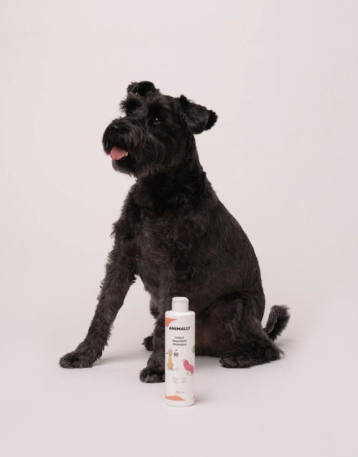 Animally Biologische Dieren shampoo tegen insecten - vlooien - katten en honden 250ml