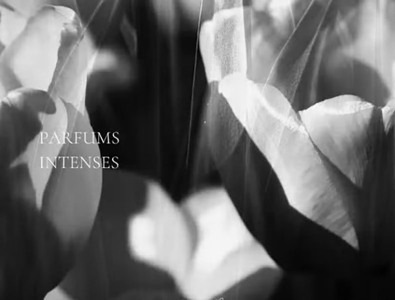 Waterlot Paris Gris Intense - privécollectie parfum - bessen, roos - unisex - bergamot, muskus - witte bloemen 50ml - Afbeelding 4