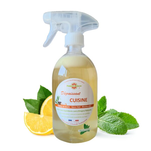 100% Plantaardige Marseille keuken spray reiniger MUNT - reinigt - ontvet - Marseille zeep 500ml