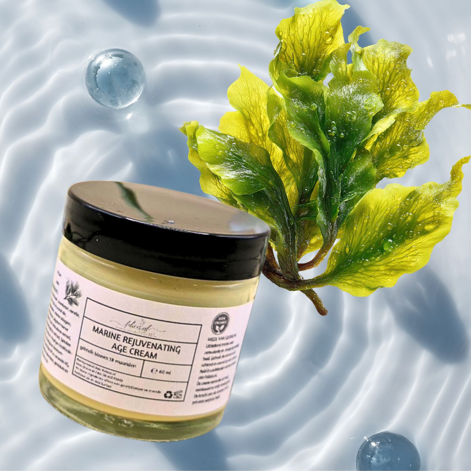 Handgemaakte biologische marine gezicht creme - zee collageen - zee elastaan - rozenbottel - lift de huid 60ml