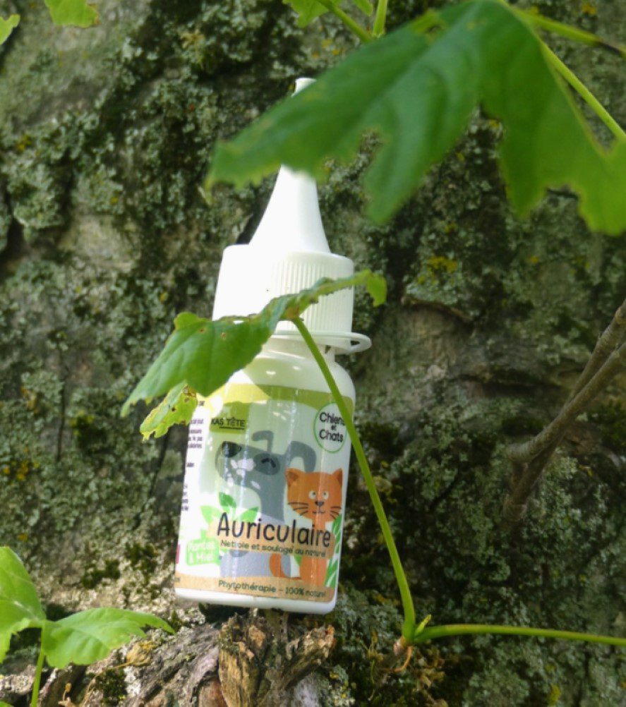 KasTete Franse Natuurlijke oorverzorging voor honden en katten - Securidaca - propolis en tijm 30 ml
