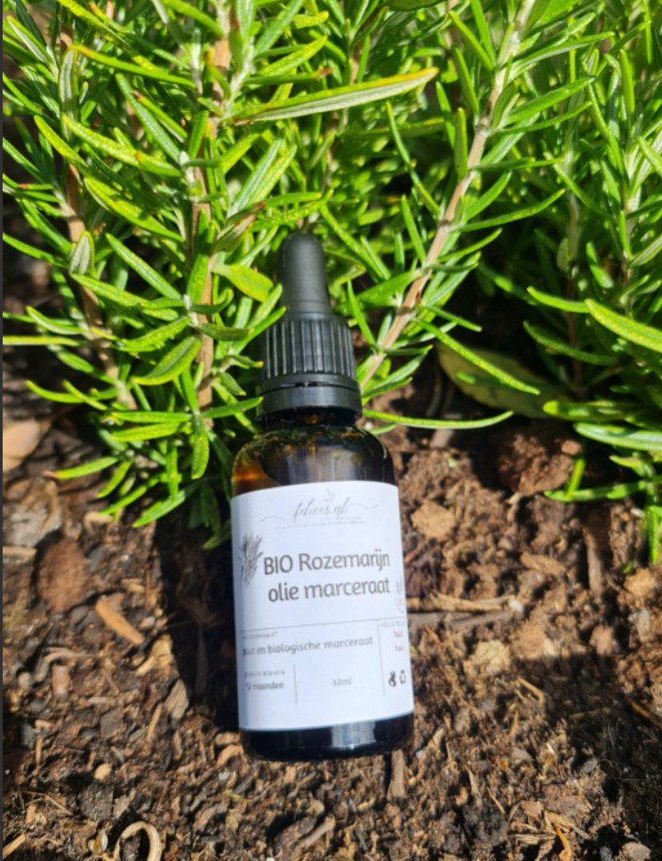Biologische Rozemarijnolie - olie maceraat - haargroei - hoofdhuid - ECOCERT gecertificeerd 30ml - Afbeelding 2