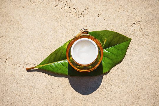 Slakkenslijm extract – smerig maar goed voor jouw huid Slakkenslijm extract – smerig maar goed voor jouw huid