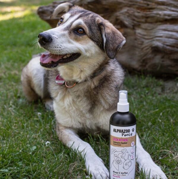 Natuurlijke Doeltreffend bescherming tegen teken - katten en honden - lavendel - amandel olie 200ml - Afbeelding 2