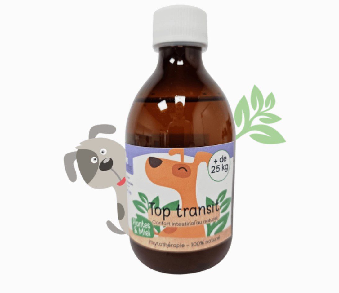 KasTete Franse spijsvertering - Top Transit Natuurlijke Siroop - Honden - meer dan 10 kg - 300ml