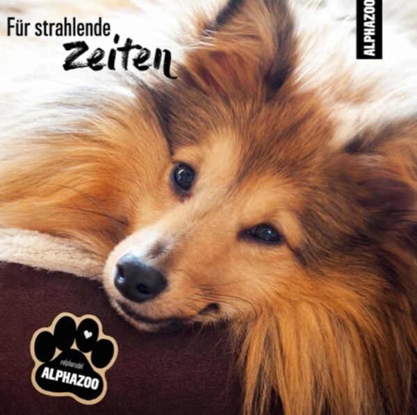 Natuurlijke vacht spray voor glans - honden en katten - lange vacht - zonder klitten - makkelijk door te kamen 200ml - Afbeelding 3