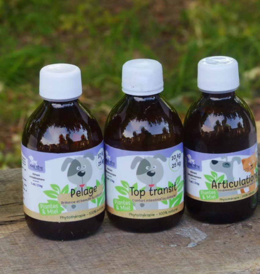 KasTete Franse Natuurlijke vachtsiroop voor Honden en katten onder de 10 kg - alphalpha - heermoes - propolis 200ml
