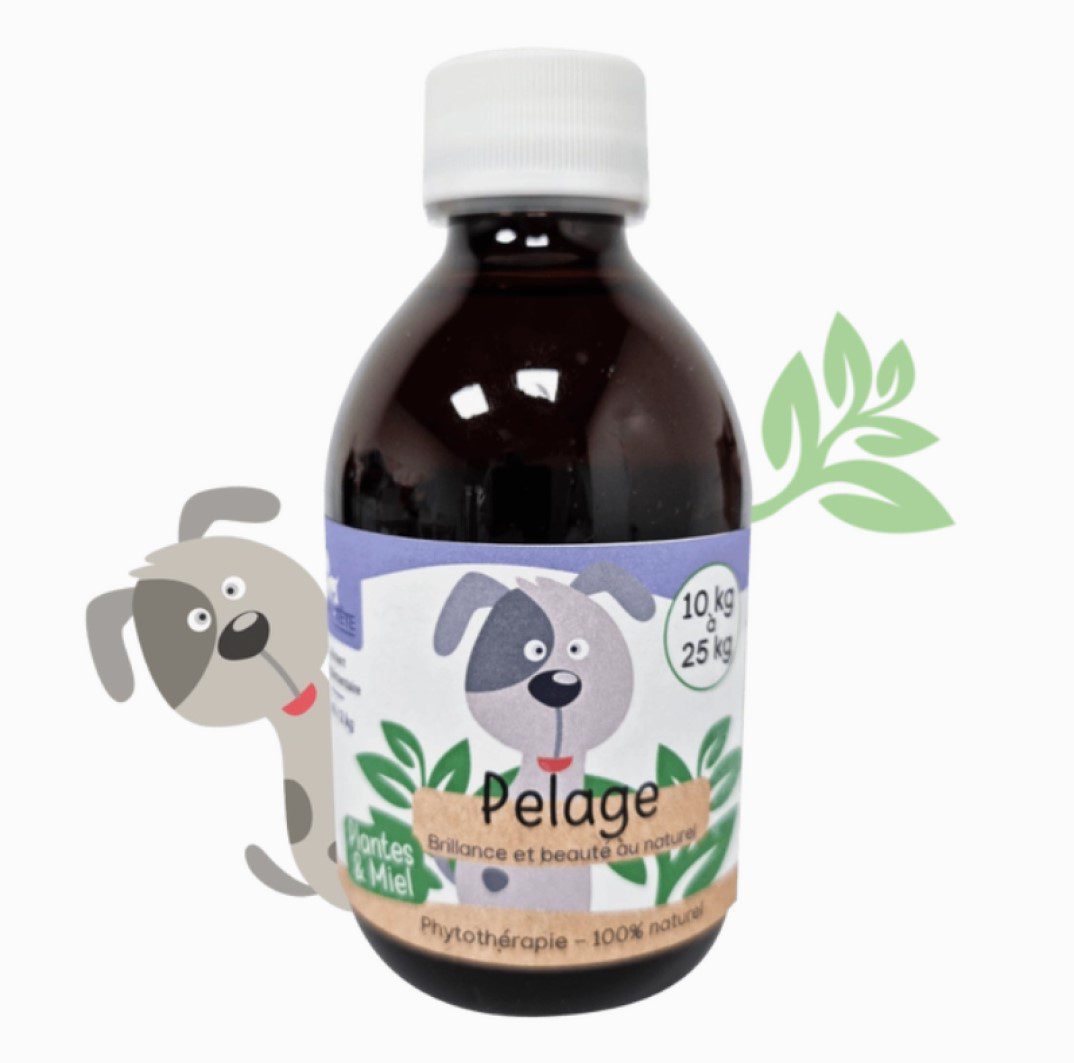KasTete Franse Natuurlijke vachtsiroop voor Honden meer dan 10 kg - brandnetel - heermoes - propolis 300ml
