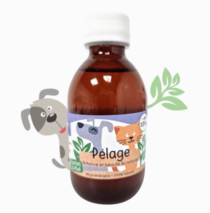 KasTete Franse Natuurlijke vachtsiroop voor Honden en katten onder de 10 kg - alphalpha - heermoes - propolis 200ml