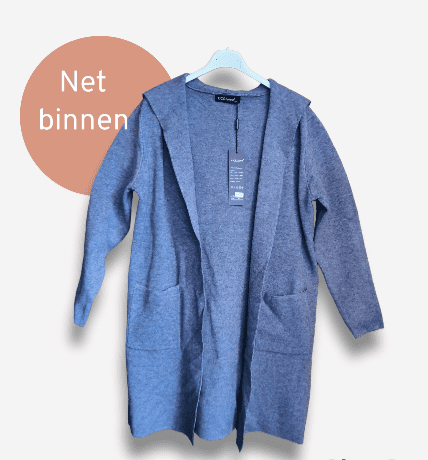 Warme vest in GRIJS kleur met capuchon en zijzakken voor dames maat 38/40