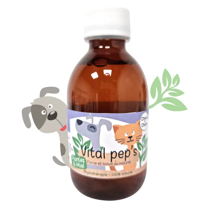 KasTete Franse Natuurlijke ReVitaliserende natuurlijke siroop voor honden en katten - energie - prestatie - natuurlijke extracten 200ml